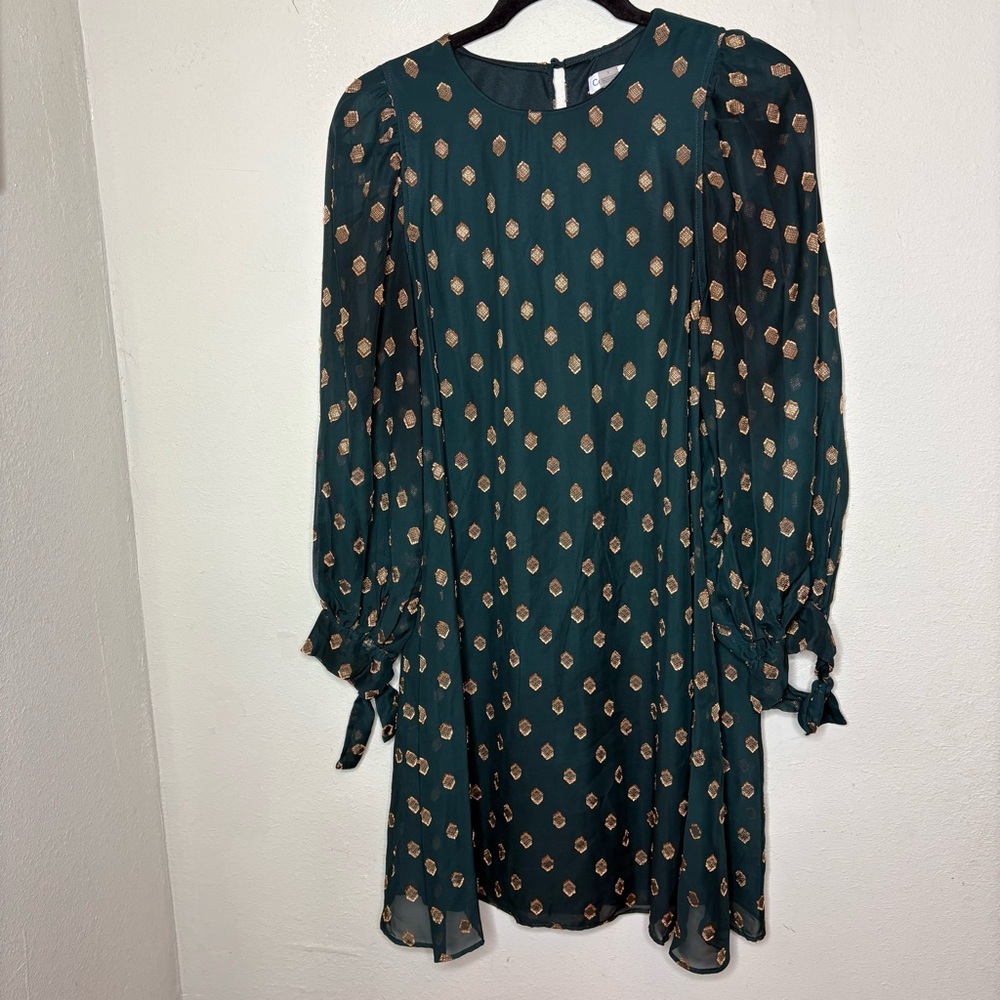 Calvin Klein Woman’s Dark Green Chiffon Long Sleeve Shift Dress Size 6